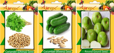 Airex Coriander, Cucumber and Round Gourd Vegetables Seed (Pack Of 15 Seed Coriander + 15 Cucumber + 15 Round Gourd Seed) Seed(15 per packet)