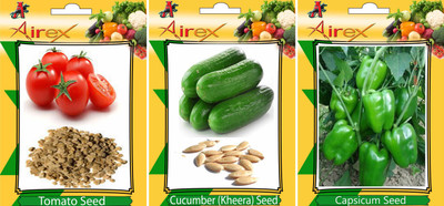 Airex Tomato, Green Capsicum and Cucumber Vegetables Seed (Pack of 15 seed Tomato + 15 Green Capsicum + 15 Cucumber Seed) Seed(15 per packet)