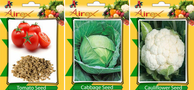 Airex Tomato, Cauliflower and Cabbage Vegetables Seed (Pack of 20 seed Tomato + 20 Cauliflower + 20 Cabbage Seed) Seed(20 per packet)