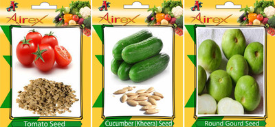 Airex Tomato, Round Gourd and Cucumber Vegetables Seed (Pack of 15 seed Tomato + 15 Round Gourd + 15 Cucumber Seed) Seed(15 per packet)