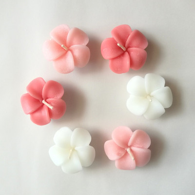 

Divine Lights Floating Flower Candle- White, Pink and Pink-ish Red - Set of 6- (1.5 x 1.5 x 0.5 inches)- Valentine's Gift Candles Candle(Multicolor, Pack of 6)