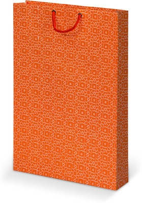 

Bdpp Paper Processers Printed Party Bag(Orange, Pack of 10)