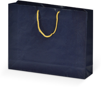 

Bdpp Paper Processers Printed Party Bag(Blue, Pack of 10)