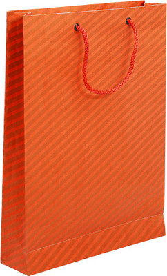 

Bdpp Paper Processers Printed Party Bag(Orange, Pack of 10)