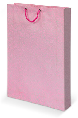 

Bdpp Paper Processers Printed Party Bag(Pink, Pack of 10)