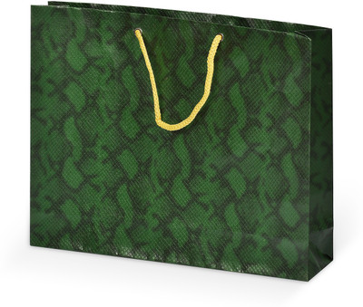 

Bdpp Paper Processers Printed Party Bag(Green, Pack of 10)