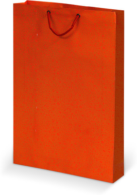 

Bdpp Paper Processers Printed Party Bag(Red, Pack of 10)
