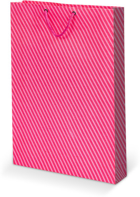 

BDPP PAPER PROCESSERS Printed Party Bag(Pink, Pack of 10)