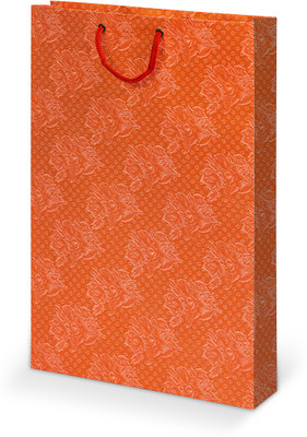 

Bdpp Paper Processers Printed Party Bag(Orange, Pack of 10)