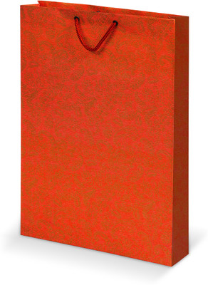 

Bdpp Paper Processers Printed Party Bag(Red, Pack of 10)