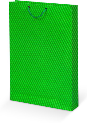 

Bdpp Paper Processers Printed Party Bag(Green, Pack of 10)