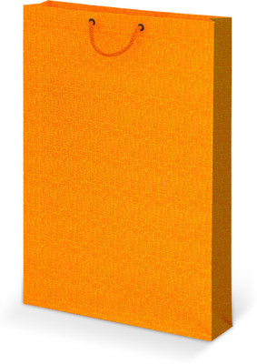 

Bdpp Paper Processers Printed Party Bag(Orange, Pack of 10)