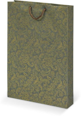 

Bdpp Paper Processers Printed Party Bag(Green, Pack of 10)
