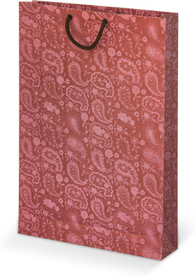 

Bdpp Paper Processers Printed Party Bag(Brown, Pack of 10)