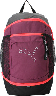 

Puma Echo IND 23 L Backpack(Multicolor), Purple