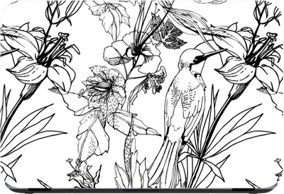

Flipkart SmartBuy mynah Premium LG Vinyl (matte) Laptop Decal 15.6