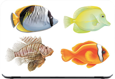

Flipkart SmartBuy beautiful fishes Premium LG Vinyl (matte) Laptop Decal 15.6