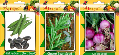 Airex Ridge Gourd, Cluster Bean and Onion Vegetables Seed (Pack Of 15 Seed Ridge Gourd + 15 Cluster Bean + 15 Onion Seed) Seed(15 per packet)