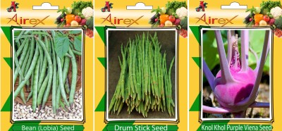 Airex Lobia, Knol Khol Purple Viena and Drum Stick Vegetables Seed (Pack Of 20 Seed Lobia + 20 Knol Khol Purple Viena + 15 Drum Stick Seed) Seed(20 per packet)