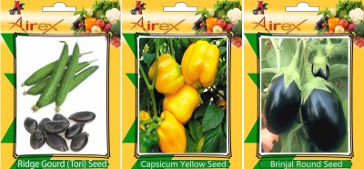 Airex Ridge Gourd, Capsicum Yellow and Brinjal Round Vegetables Seed (Pack Of 20 Seed Ridge Gourd + 20 Capsicum Yellow + 20 Brinjal Round Seed) Seed(20 per packet)