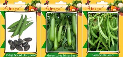 Airex Ridge Gourd, Green Long Brinjal and Semphali Vegetables Seed (Pack Of 25 Seed Ridge Gourd + 25 Green Long Brinjal + 25 Semphali Seed) Seed(25 per packet)