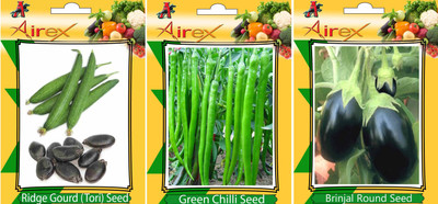 Airex Ridge Gourd, Green Chilli and Brinjal Round Vegetables Seed (Pack Of 15 Seed Ridge Gourd + 15 Green Chilli + 15 Brinjal Round Seed) Seed(15 per packet)