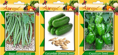 Airex Lobia, Green Capsicum and Cucumber Vegetables Seed (Pack Of 15 Seed Lobia + 15 Green Capsicum + 15 Cucumber Seed) Seed(15 per packet)