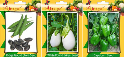 

Airex Ridge Gourd, White Round Brinjal and Green Capsicum Vegetables Seed (Pack Of 15 Seed Ridge Gourd + 15 White Round Brinjal + 15 Green Capsicum Seed) Seed(15 per packet)