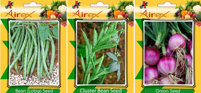 Airex Lobia, Onion and Cluster Bean Vegetables Seed (Pack Of 15 Seed Lobia + 15 Onion + 15 Cluster Bean Seed) Seed(15 per packet)