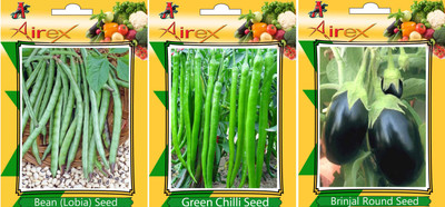 Airex Lobia, Brinjal Round and Green Chilli Vegetables Seed (Pack Of 20 Seed Lobia + 20 Brinjal Round + 20 Green Chilli Seed) Seed(20 per packet)