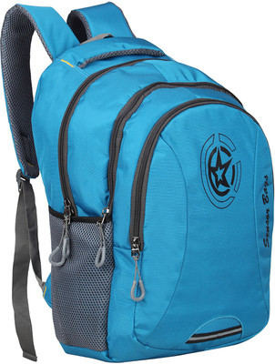 

Sensor Frost 28 L Laptop Backpack(Blue)