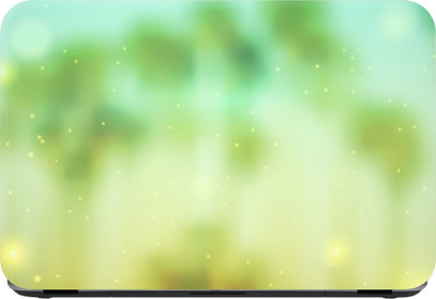 

Flipkart SmartBuy light green pattern Premium LG Vinyl (matte) Laptop Decal 14.1