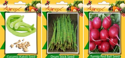 Airex Cucumis, Turnip Red Ball and Drum Stick Vegetables Seed (Pack Of 15 Seed Cucumis + 15 Turnip Red Ball + 15 Drum Stick Seed) Seed(15 per packet)