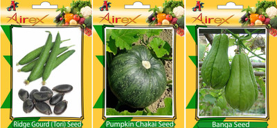 

Airex Ridge Gourd, Pumpkin and Banga Vegetables Seed (Pack Of 15 Seed Ridge Gourd + 15 Pumpkin + 15 Banga Seed) Seed(15 per packet)