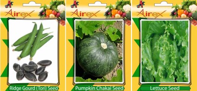 Airex Ridge Gourd, Pumpkin and Lettuce Vegetables Seed (Pack Of 25 Seed Ridge Gourd + 25 Pumpkin + 25 Lettuce Seed) Seed(25 per packet)