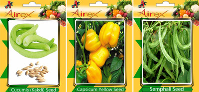 

Airex Cucumis, Semphali and Capsicum Yellow Vegetables Seed (Pack Of 25 Seed Cucumis + 25 Semphali + 25 Capsicum Yellow Seed) Seed(25 per packet)