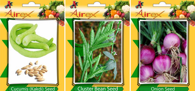 Airex Cucumis, Onion and Cluster Bean Vegetables Seed (Pack Of 15 Seed Cucumis + 15 Onion + 15 Cluster Bean Seed) Seed(15 per packet)