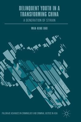 Delinquent Youth in a Transforming China(English, Hardcover, Bao Wan-Ning)