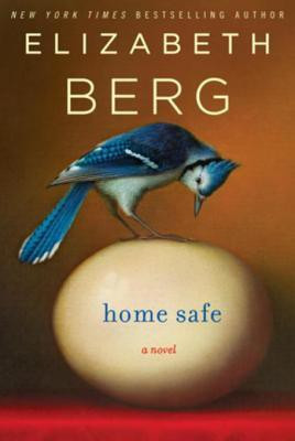 Home Safe(English, Electronic book text, Berg Elizabeth)