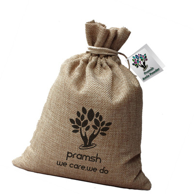 

PRAMSH Luxurious Amla Raw Pack of 600gm(600 g)