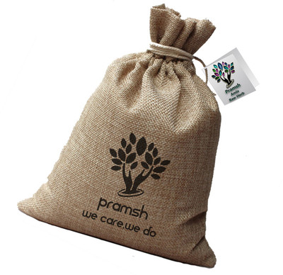 

PRAMSH Luxurious Amla Raw Pack of 300gm(300 g)