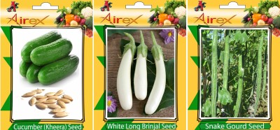 Airex Cucumber, Snake Gourd and White Long Brinjal Vegetables Seed (Pack Of 25 Seed Cucumber + 15 Snake Gourd + 25 White Long Brinjal Seed) Seed(25 per packet)