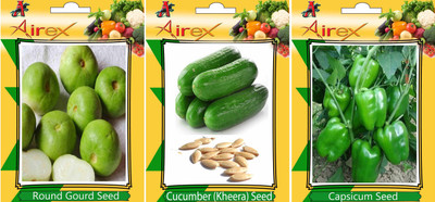 Airex Round Gourd, Cucumber and Green Capsicum Vegetables Seed (Pack Of 15 Seed Round Gourd + 15 Cucumber + 15 Green Capsicum Seed) Seed(15 per packet)