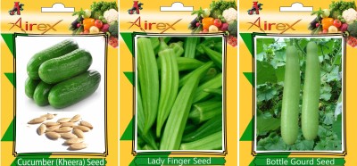 Airex Cucumber, Bottle Gourd and Lady Finger Vegetables Seed + Humic Acid Fertilizer (For Growth of All Plant and Better Responce) 15 gm Humic Acid +Pack Of 30 Seed Cucumber + 30 Bottle Gourd + 30 Lady Finger Seed Seed(30 per packet)