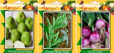 Airex Round Gourd, Cluster Bean and Onion Vegetables Seed (Pack Of 25 Seed Round Gourd + 25 Cluster Bean + 25 Onion Seed) Seed(25 per packet)