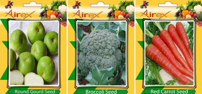 Airex Round Gourd, Broccoli and Red Carrot Vegetables Seed (Pack Of 15 Seed Round Gourd + 15 Broccoli + 15 Red Carrot Seed) Seed(15 per packet)