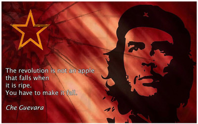 Che Guevara Poster | che guevara posters | che guevara quotes posters | che guevara motivational posters Paper Print(12 inch X 18 inch, Rolled)