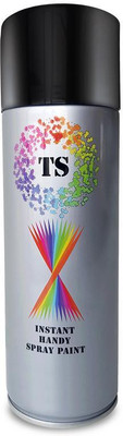 

TS SPRAY ON Multipurpose Premium Quality Aerosol Spray Paint Can Simens Gray Marpol Spray Paint 440 ml(Pack of 1)
