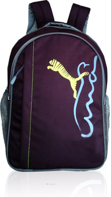 

NAFCO alpha 1 25 L Backpack(Purple, Grey)