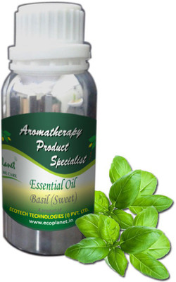 Ecoplanet Sweet Basil Essential Oil(100 g)